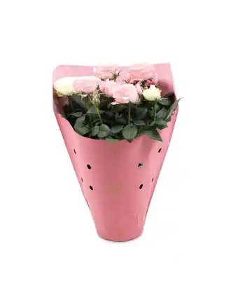 Aldi Valentines Rose Duo offer