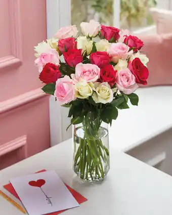 Aldi Double Dozen Romantic Roses offer