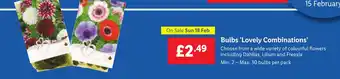 Lidl Bulbs 'Lovely Combinations offer
