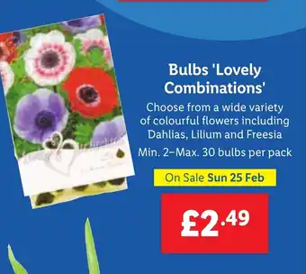 Lidl Bulbs 'Lovely Combinations' offer