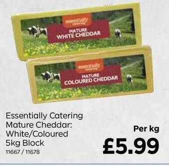 Bestway Essentially Catering Mature Cheddar: White-Coloured 5Kg Block offer
