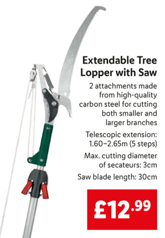 Lidl Extendable Tree Lopper with Saw offer