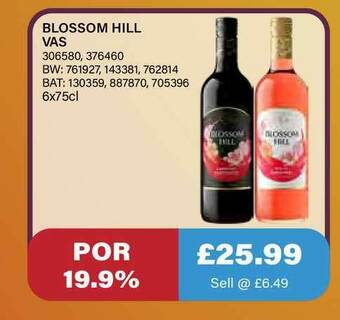 Bestway Blossom Hill Vas offer