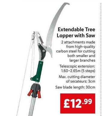 Lidl Extendable Tree Lopper With Saw offer