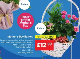 Lidl Mother's Day Basket offer