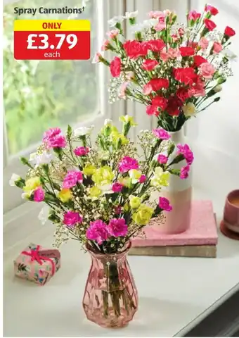 Aldi Spray Carnations offer
