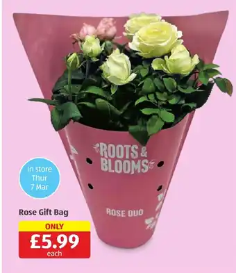 Aldi Rose Gift Bag offer
