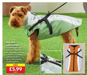 Aldi Dog Coat with Harness offer