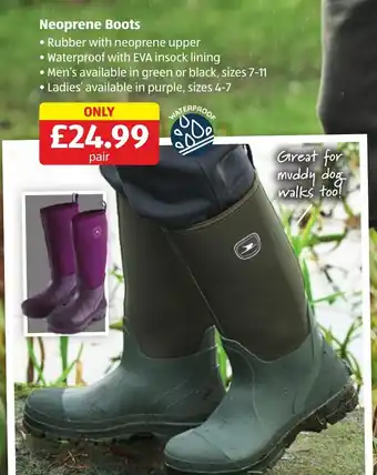 Aldi Neoprene Boots offer