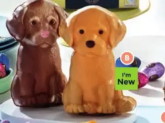 Aldi Dairyfine Chocolate Puppy offer