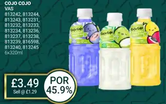 Bestway COJO COJO offer