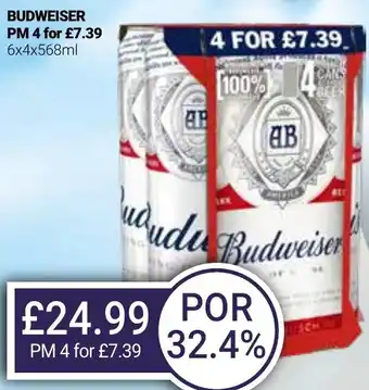 Bestway BUDWEISER offer