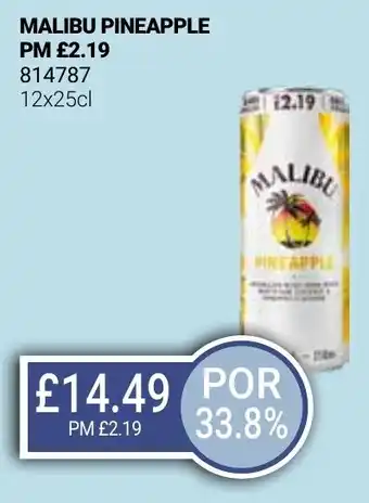 Bestway MALIBU PINEAPPLE offer