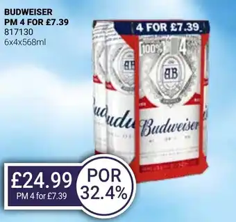 Bestway BUDWEISER offer