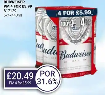 Bestway BUDWEISER offer