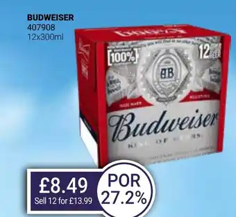 Bestway BUDWEISER offer