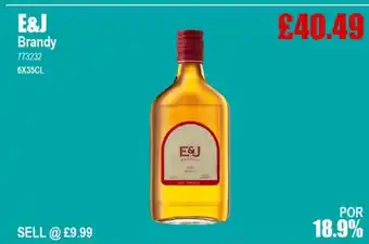 Bestway E&J Brandy offer