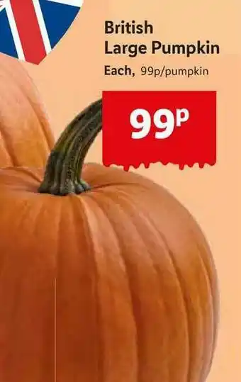 Lidl British Large Pumpkin offer