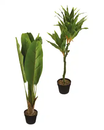 Aldi Large Faux Plant offer