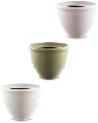 Aldi Winchester Planter offer