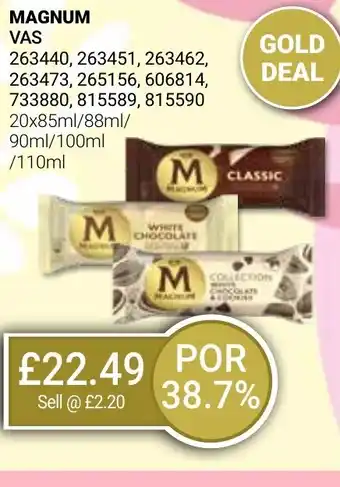 Bestway MAGNUM offer