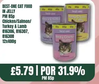 Bestway BEST-ONE CAT FOOD IN JELLY offer