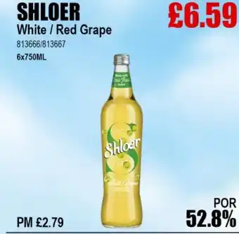 Bestway SHLOER White/Red Grape offer