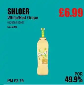 Bestway SHLOER White/Red Grape offer