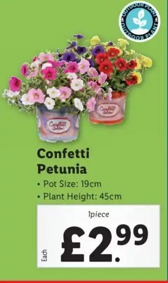 Lidl Confetti Petunia offer