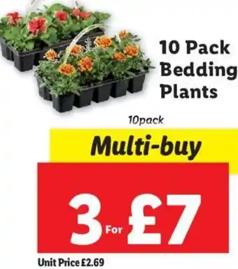 Lidl 10 Pack Bedding Plants offer