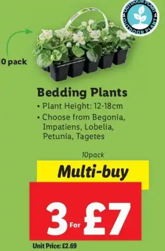 Lidl Bedding Plants offer