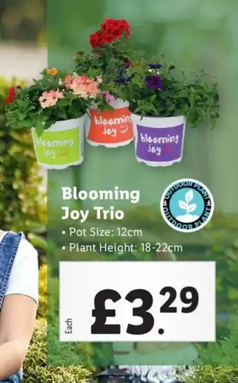 Lidl Blooming Joy Trio offer