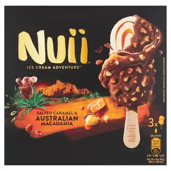 Iceland Nuii Ice Cream Adventure Salted Caramel & Australian Macadamia 270ml offer