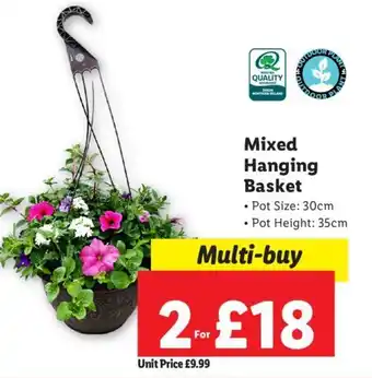 Lidl Mixed Hanging Basket offer