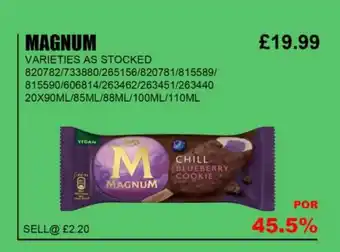 Bestway MAGNUM offer