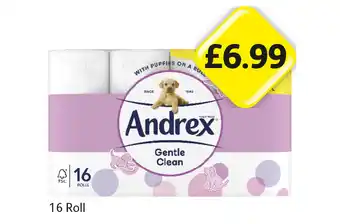 Londis View Andrex Gentle Clean offer