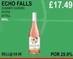 Bestway ECHO FALLS SUMMER GARDEN offer