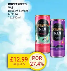 Bestway KOPPARBERG offer