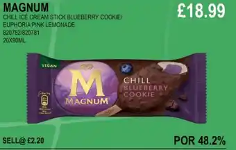 Bestway MAGNUM offer