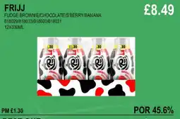 Bestway FRIJJ FUDGE BROWNIE/CHOCOLATE/S'BERRY/BANANA offer