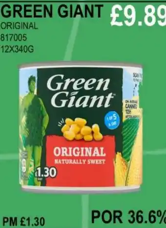 Bestway GREEN GIANT ORIGINAL offer