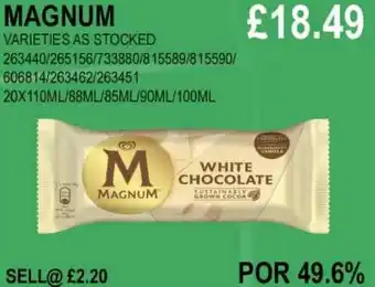 Bestway MAGNUM offer