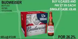 Bestway BUDWEISER BOTTLES offer