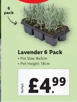 Lidl Lavender 6 Pack offer