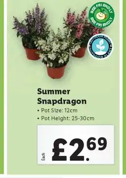 Lidl Summer Snapdragon offer