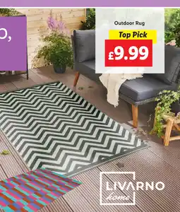 Lidl Outdoor Rug offer