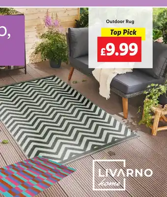 Lidl Outdoor Rug offer