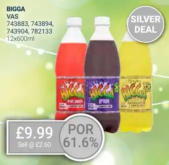 Bestway BIGGA offer