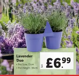 Lidl Lavender Duo offer