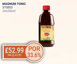 Bestway MAGNUM TONIC offer